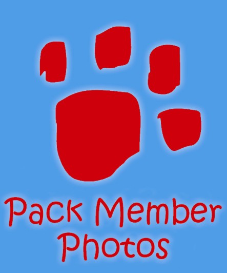 Pack Member Photo's